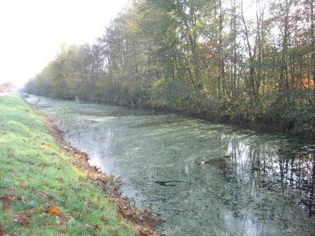 De Peel : Kanaalweg, schnurgerader Moorkanal, Herbstimpressionen